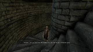 Skyrim courier stops at nothing to deliver his letters
