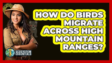 How Do Birds Migrate Across High Mountain Ranges? - Ecosystem Essentials