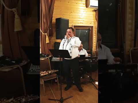Formatia Nicu Ruja live la Gura Raului