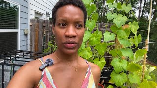 🛑 I Didn’t Know How to Be Still… Until I Touched the Soil