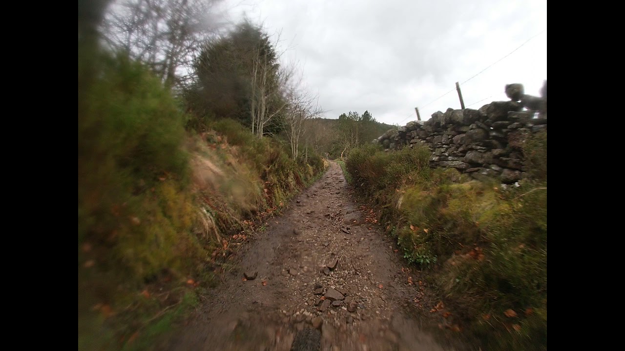 Gradbach Car Park towards the woods