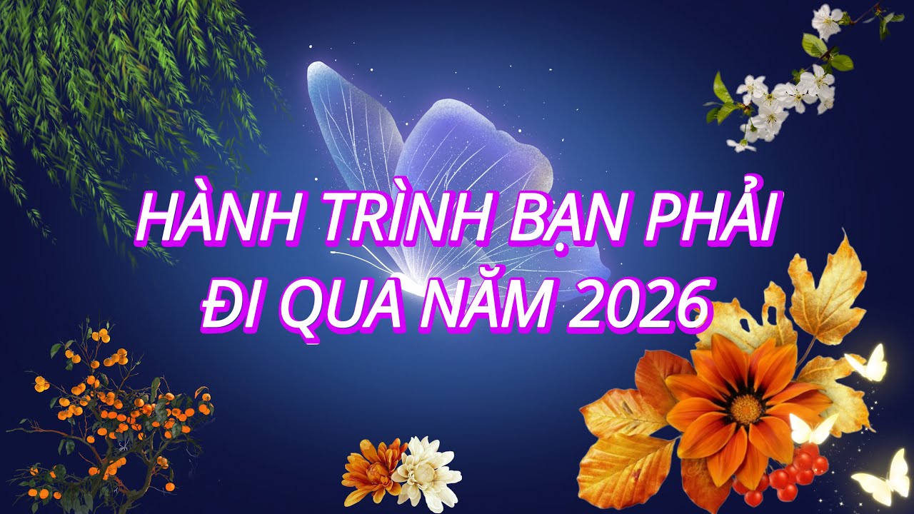 HÀNH TRÌNH CÁC BẠN PHẢI ĐI QUA TRONG NĂM 2026 🌻☘️ Người đưa thư 