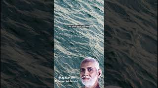Inner Peace: The Path to a Harmonious World - Bhagavan Sri Ramana Maharshi