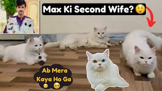 Max ki second wife a gai || Muffin gussa ho gayi || Rehan & max