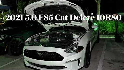 2021 5.0 10R80 Vs 2019 Z06 M7