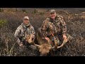 Alaskan yukon moose hunt part 1 with bcextremeoutdoorsman