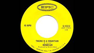 1967 HITS ARCHIVE: There Is A Mountain - Donovan (mono 45)