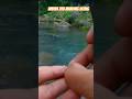 umpan jitu mancing uceng dijamin auto gacor banyak sambaran strike