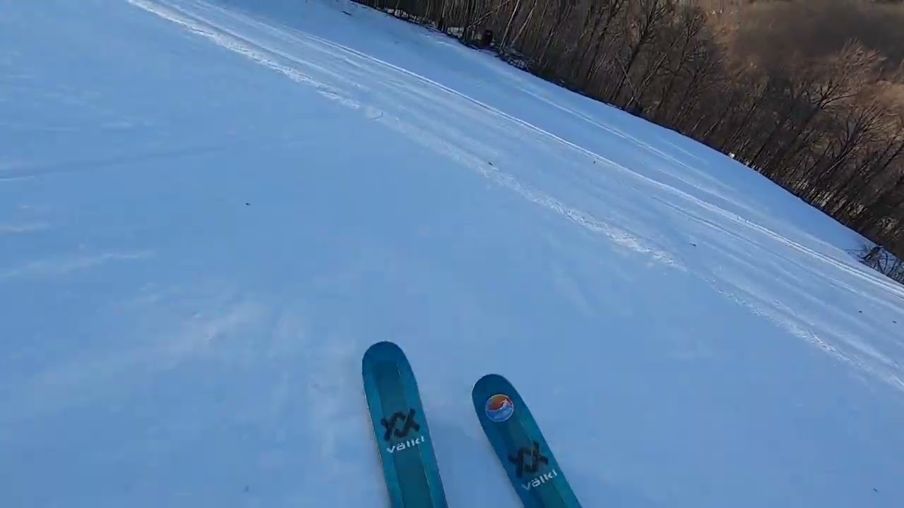 Wild Turkey at Jiminy Peak
