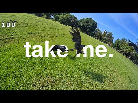 Take Me | TinyWhoop Freestyle