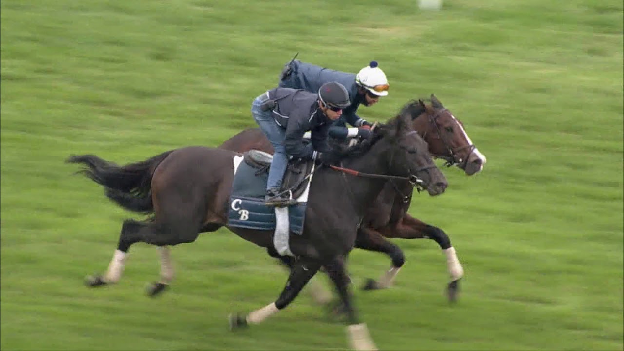 horse racing news Analyze It Works for the Breeders' Cup Mile