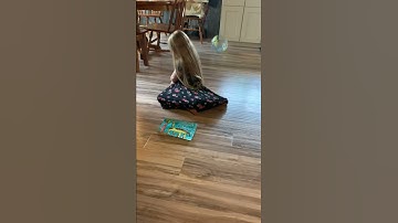 3 types of consumers