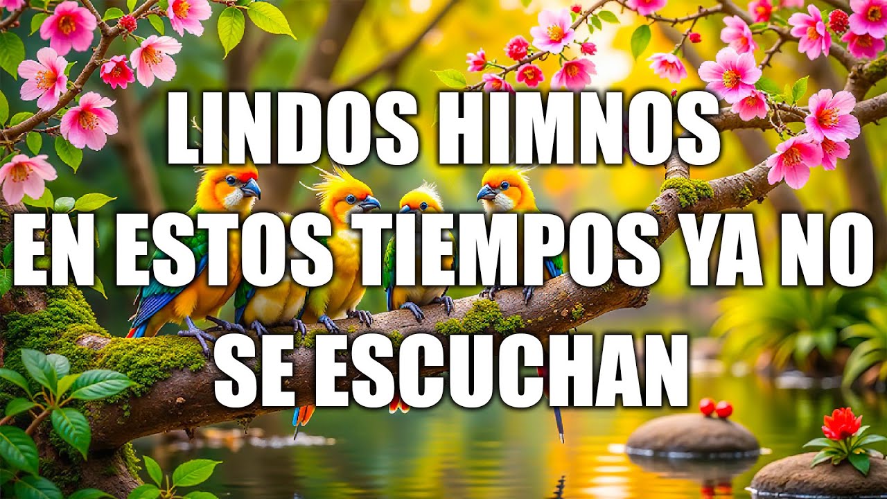 LINDOS HIMNOS EN ESTOS TIEMPOS YA NO SE ESCUCHAN - 40 HIMNOS ANTIGUOS MEJOR SELECCIONADOS 2026 🌹