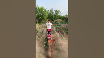 #Gasoline micro-tillage weeding and furrowing machine#Trenching and soil cultivating machine#