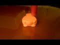 Beginning of video