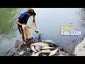 Jala Ikan di sungai yang sangat jernih dan bersih di kawasan Hutan pedalaman Aceh