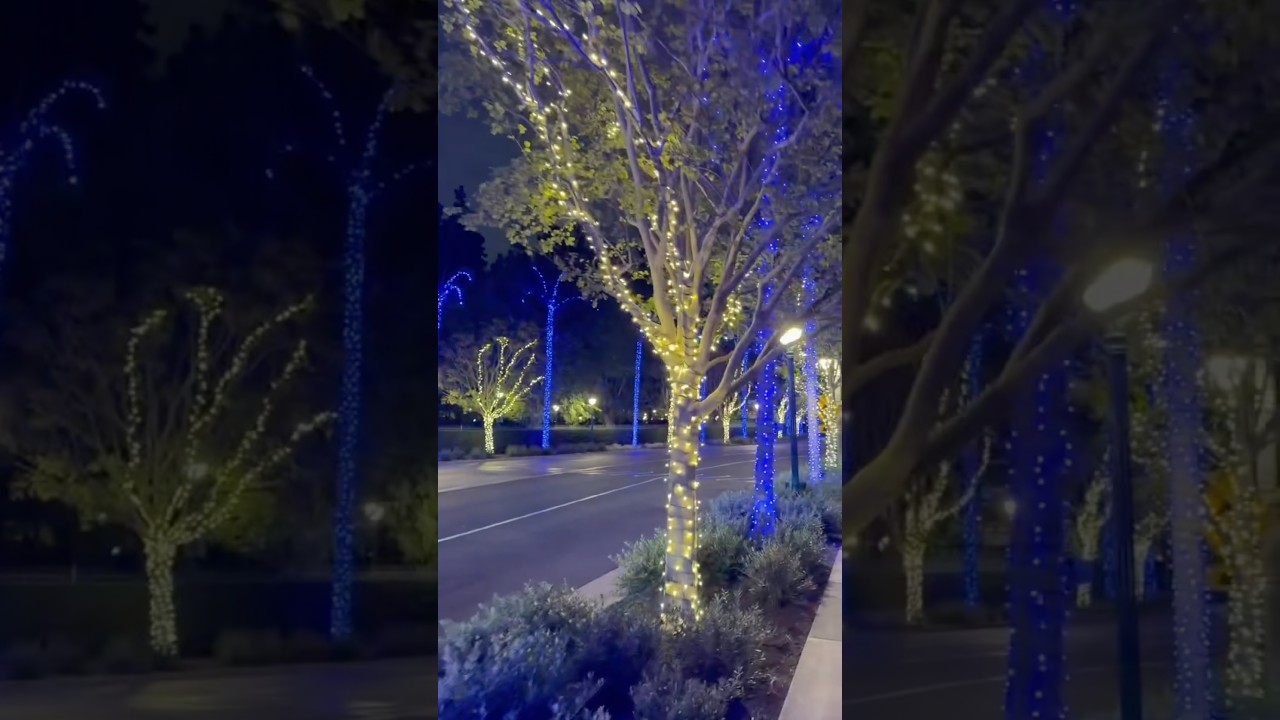Disneyland Hotel Christmas Lights!