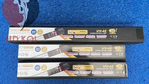 Đèn UV có thật sự cần thiết cho hồ cá, bể cá Koi? Đèn UV Coco 25w - 30w - 40w - 60w - 80w - 100w