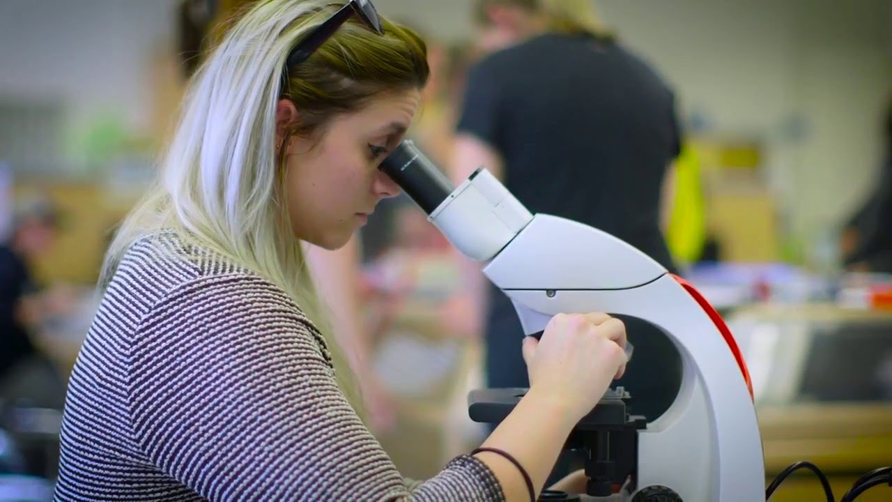 Daemen College Experience