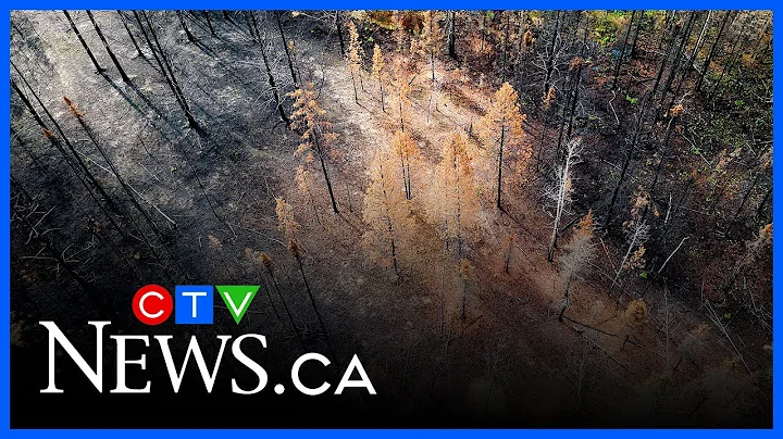 Wildfires expected to continue throughout the summer, expert says