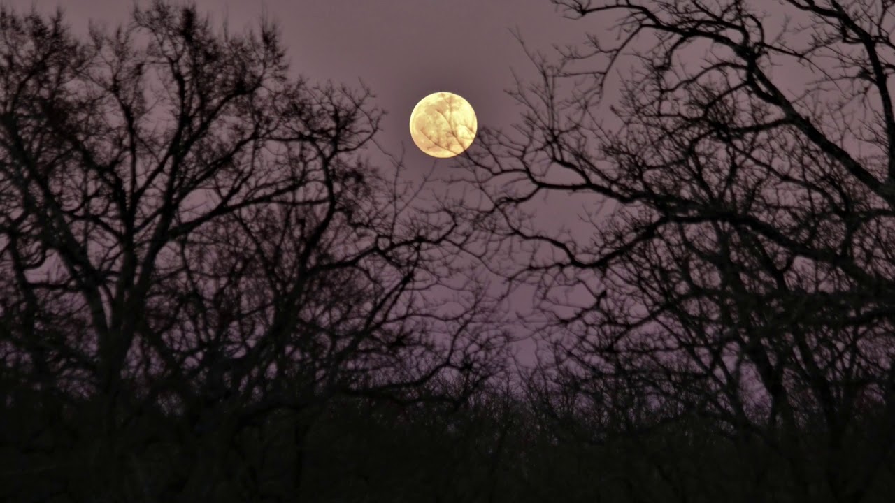 Neon Lights Instrumental