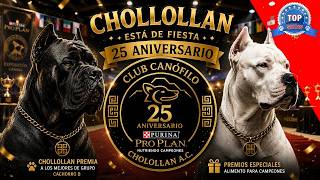 CANE CORSO Y DOGO ARGENTINO, LOS PROTAGONISTAS.
