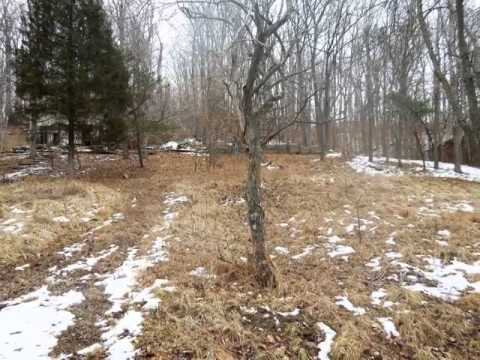 396 Oriole Dr, Eddyville, KY home video tour