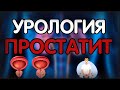 Урология. Лекция 10. Простатит. Синдром хронической тазовой боли