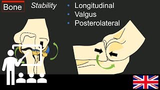 Trailer Lectures: Understanding elbow instability.
