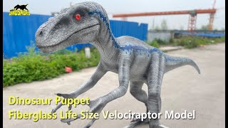 Fiberglass Life Size Velociraptor Model | Dinosaur Prop