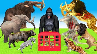 Giant Lion vs Mammoth, Buffalo,Gozrilla Monster Fighting Crocodile ttack Cartoon  Rescue Baby Tiger
