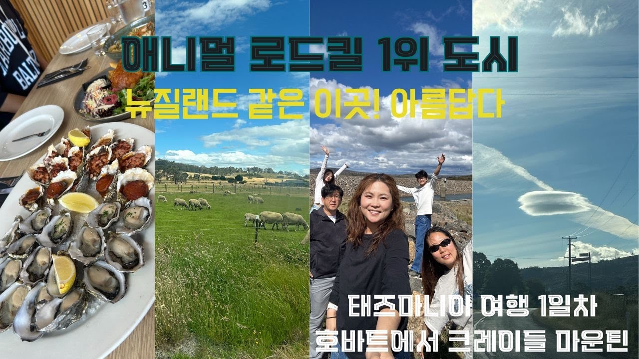 태즈마니아 여행 1일차 | 호바트에서 크레이들 마운틴까지 5시간 반 로드트립/여행은마리아/호바트 도착 후 크레이들 마운틴 가는 길 | 태즈마니아 자연에 압도되다