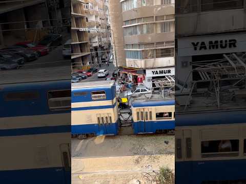 سبحان الذي سخر لنا هذا تراث من مدينة الإسكندرية 