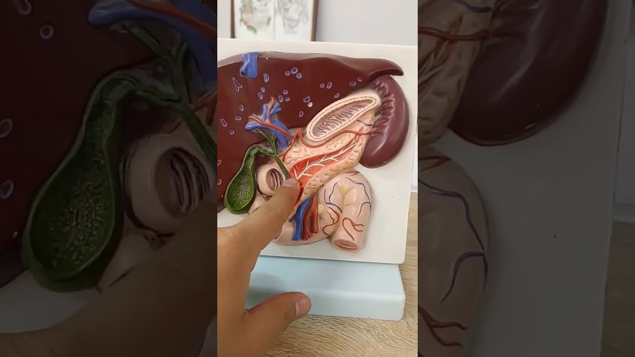 signs of gallbladder problems