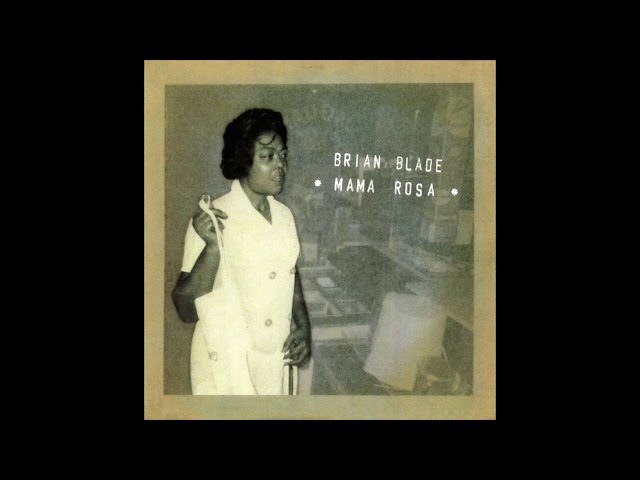 BRIAN BLADE - After The Revival
