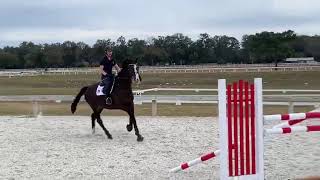 Galander T - For Sale