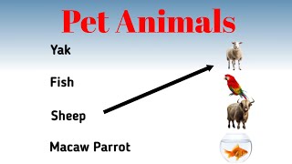 Pet Animals worksheet for kindergarten | Nursery/Lkg evs worksheet | preschool homeschool activities Pet Animals worksheet for kindergarten | Nursery/Lkg evs worksheet | preschool homeschool activities