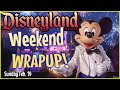 Disneyland WEEKEND WRAPUP!  Sunday Feb.19 | Updates, Closures, Tips &amp; More! Ep. 2