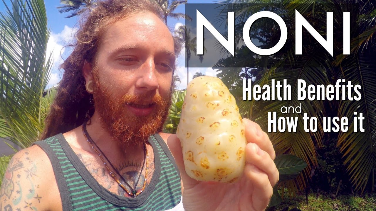 Noni fruit Health Benefits & How to use it YouTube