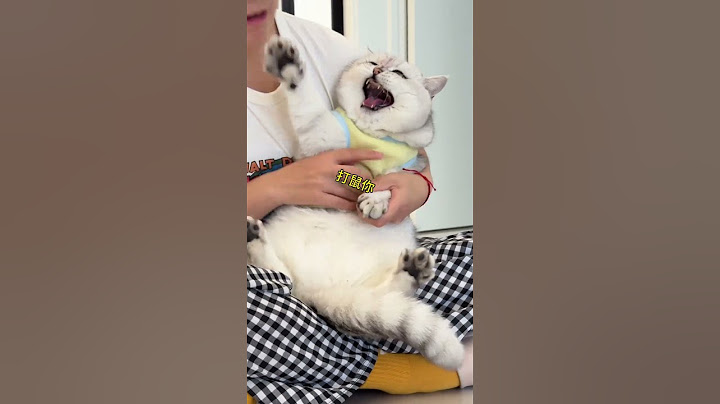 看看指甲长不长都不给看#我的大脸猫 #我的大脸猫 #喵哥是萌新