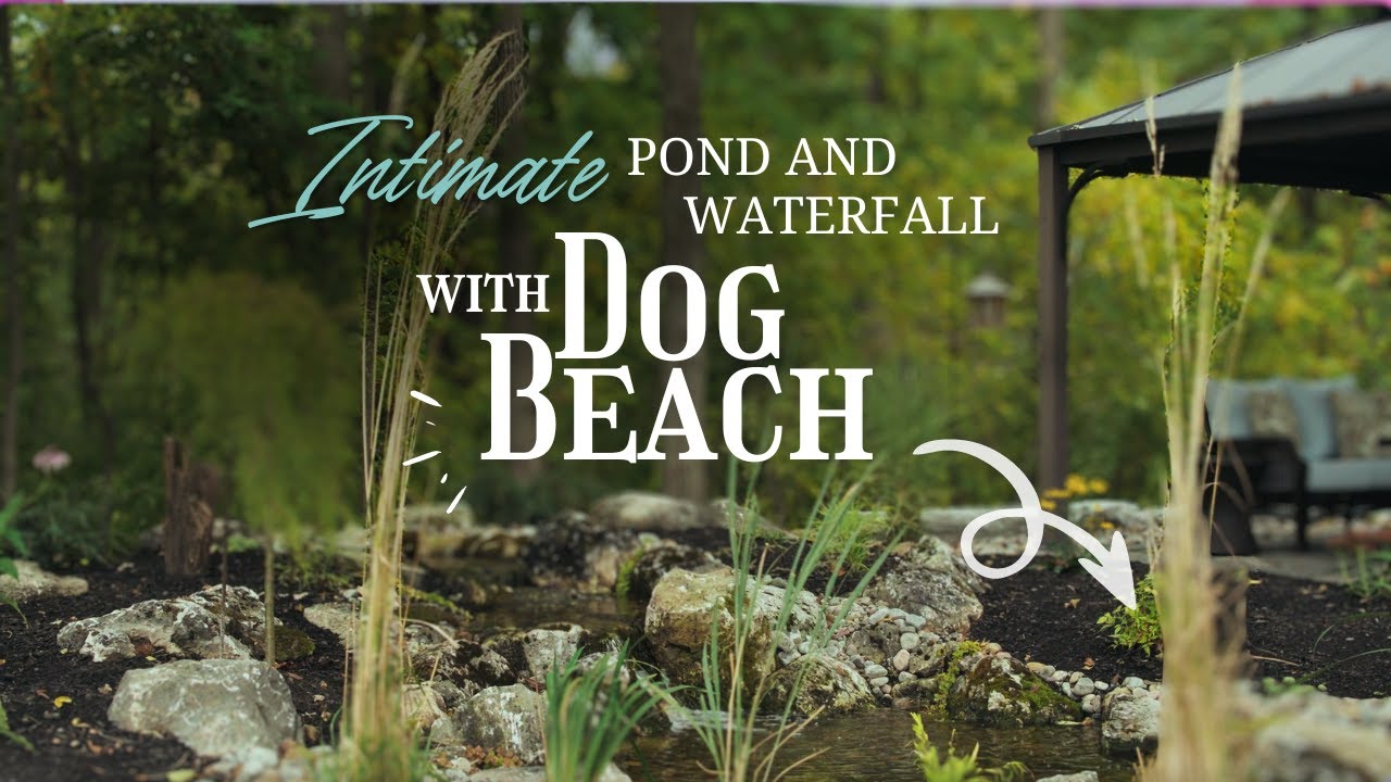 Family centered, dog-friendly, and eco-friendly water feature!