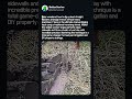 Perfect Backyard Drainage Hack #worker #process #irrigation #manual labor #yardwork