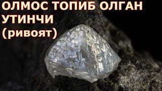 ОЛМОС ТОПИБ ОЛГАН КАМБАГАЛ УТИНЧИ (таъсирли ривоят мотивация)