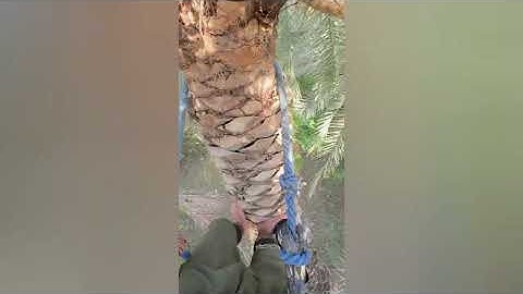 Try Not To Laugh 🤣 | #hilarious #people - Instant Regret Fails Compilation 2024