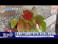 太魯閣遭惡意破壞!犯嫌紅漆噴「不雅字樣」只因心情不好｜TVBS新聞 @TVBSNEWS01