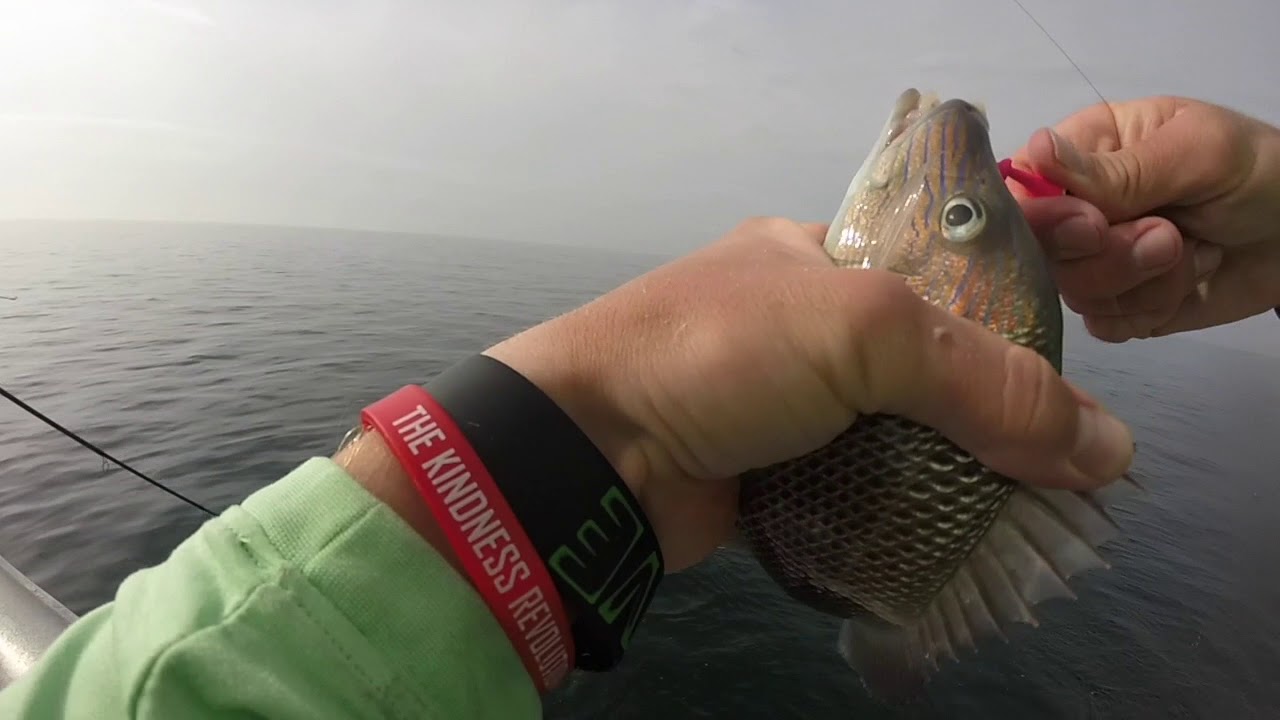 Queen fleet deepsea fishing YouTube