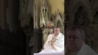 Prayer of adoration before the Blessed Sacrament