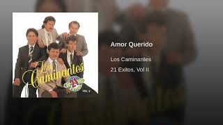 Los caminantes - amor querido