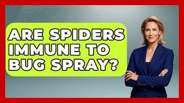 Are Spiders Immune To Bug Spray? - Insects and Invaders