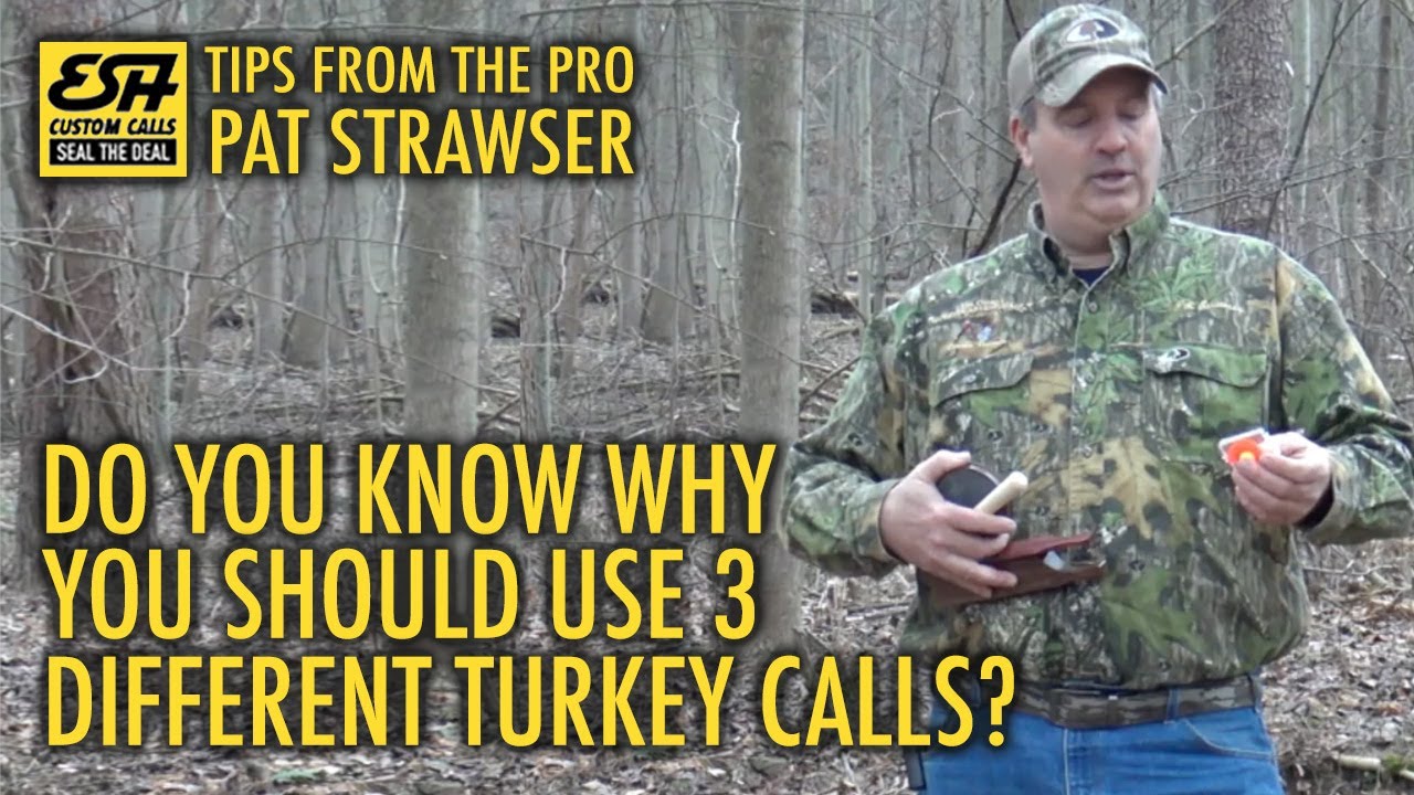 Do You Know Why You Should Use 3 Different Turkey Calls? YouTube